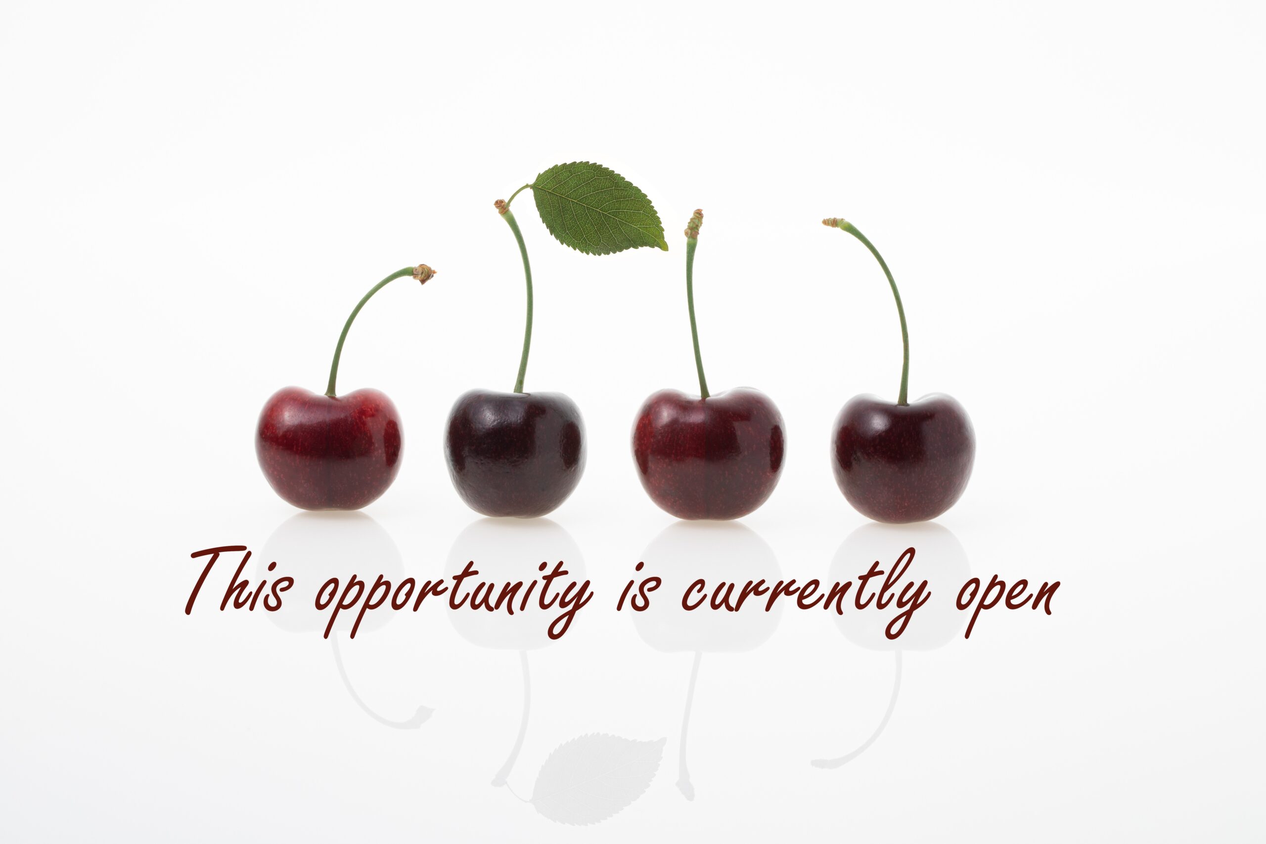 Title Sponsor Logo 0