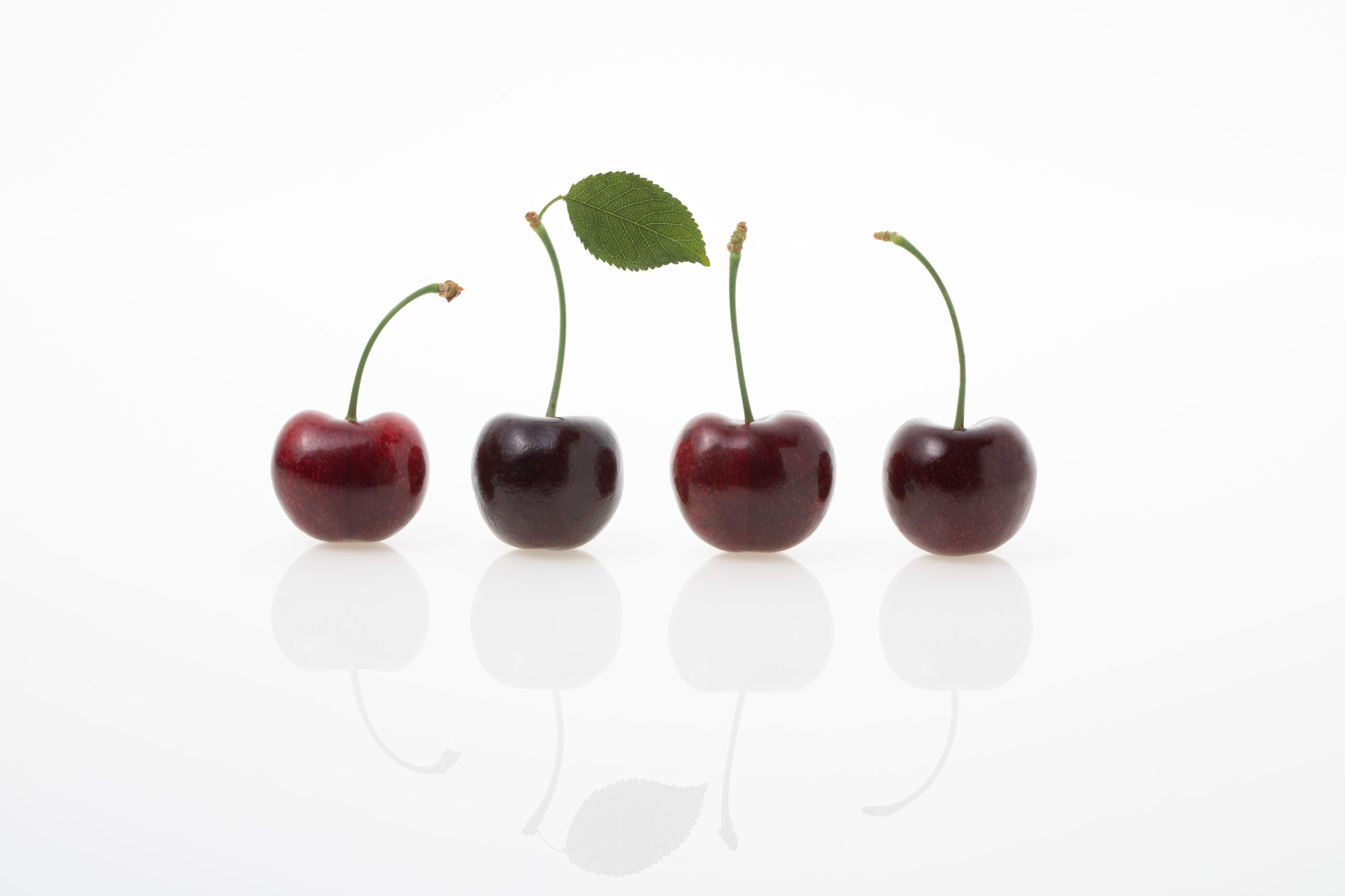 Title Sponsor Logo 0